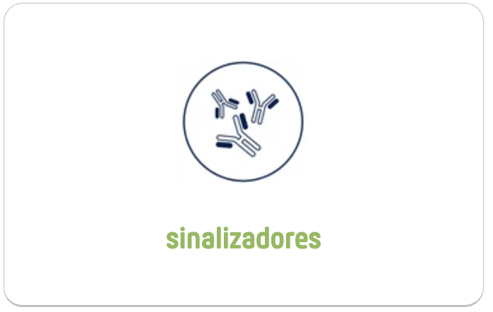 Screenshot 2025-03-24 at 14.48.30.png