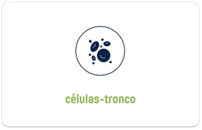 Screenshot 2025-03-24 at 14.48.10.png